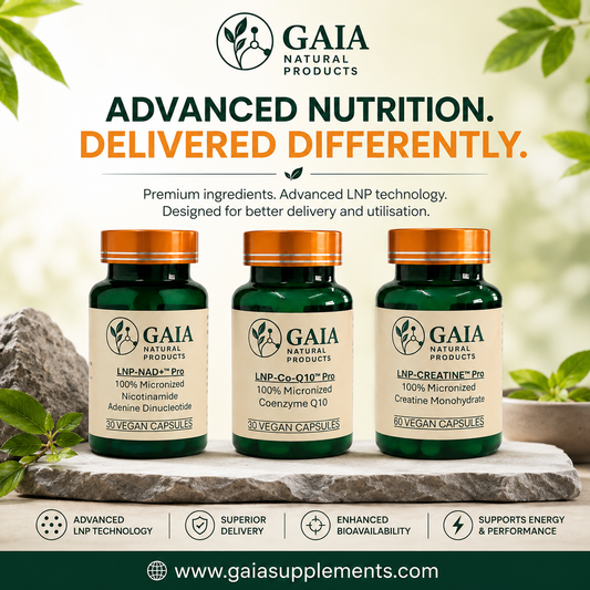 Best Supplement for Tiredness and Fatigue (UK Guide 2026)
