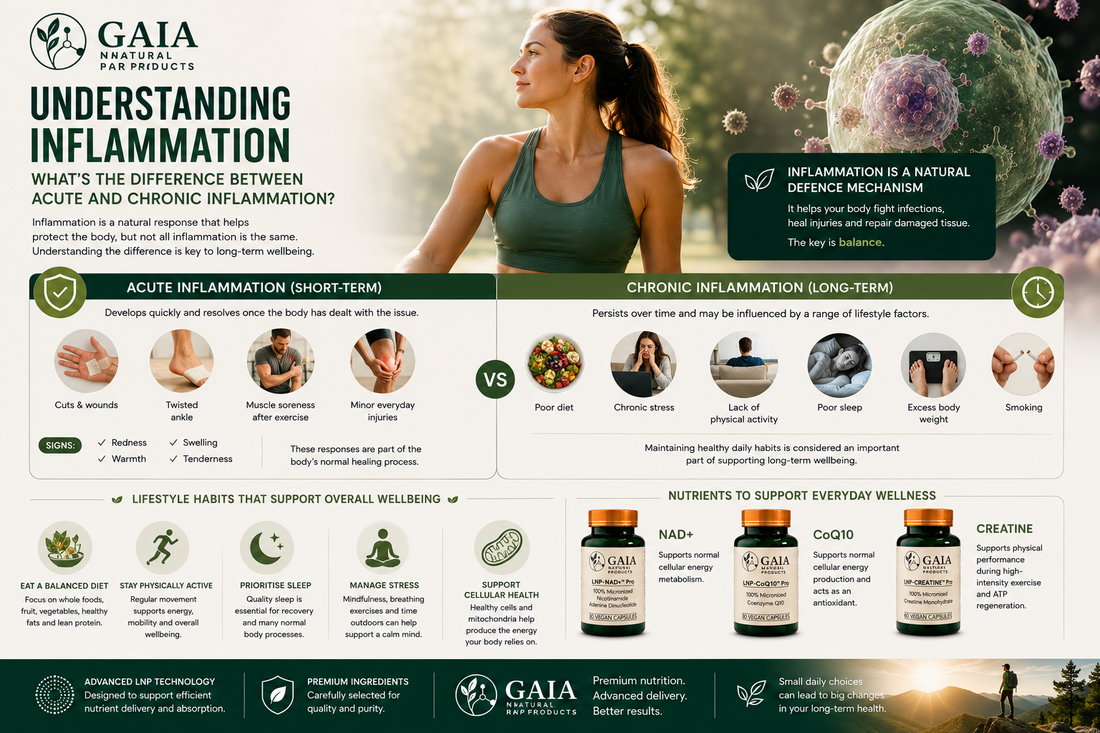 Understanding Inflammation: What's the Difference Between Acute and Chronic Inflammation? (UK Guide 2026)