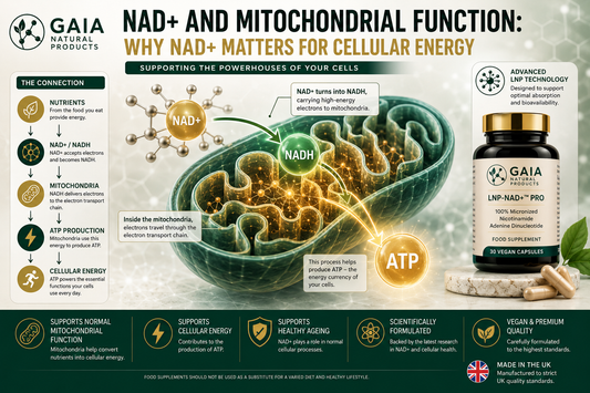 NAD+ and Mitochondrial Function: Why NAD+ Matters for Cellular Energy