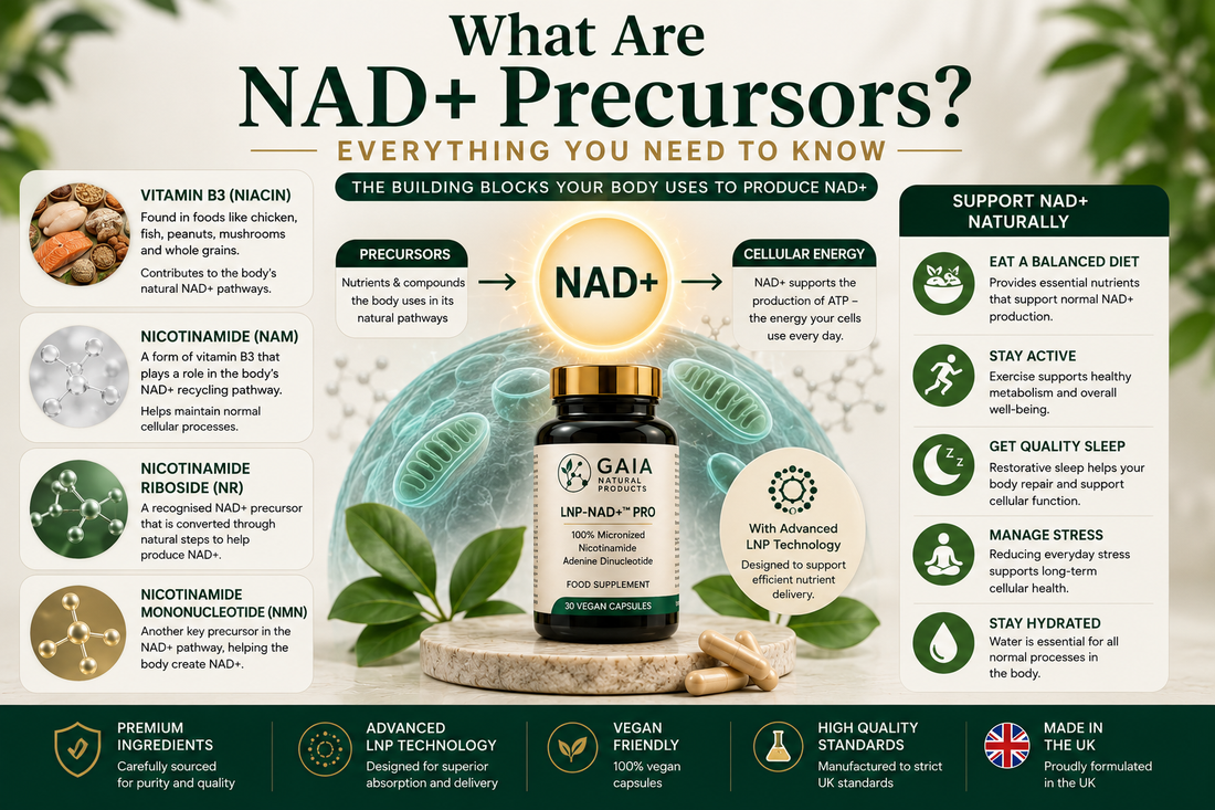 What Are NAD+ Precursors? Everything You Need to Know (UK Guide 2026)