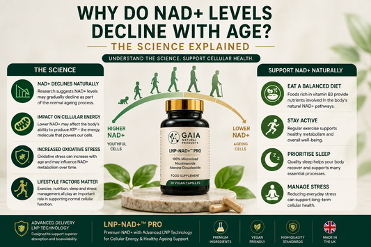 Why Do NAD+ Levels Decline With Age? The Science Explained (UK Guide 2026)