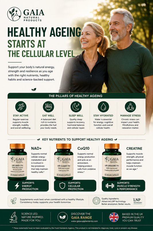 Can Supplements Help Support Healthy Ageing? What the Science Says (UK Guide 2026)