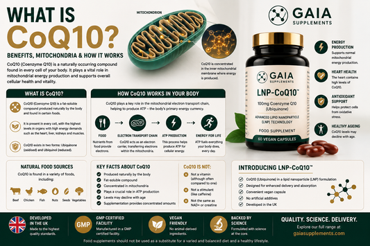 What Is CoQ10? Benefits, Mitochondria & How It Works (UK Guide 2026)