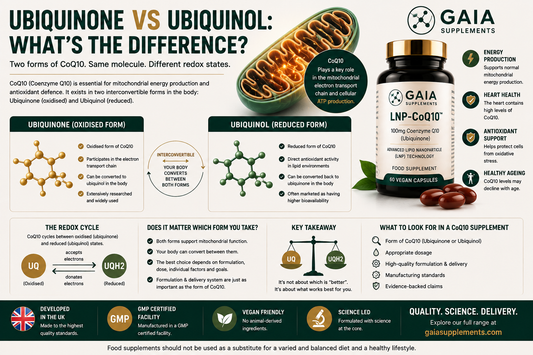 Ubiquinone vs Ubiquinol: What's the Difference? (UK Guide 2026)