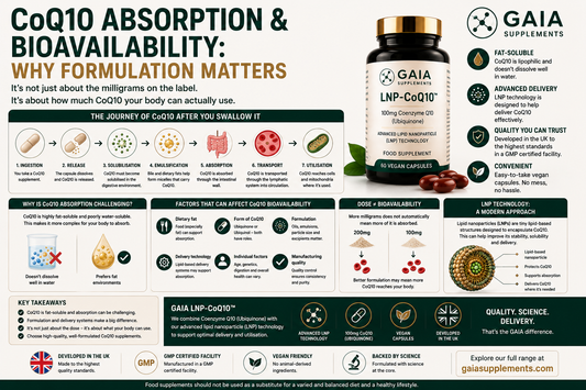 CoQ10 Absorption & Bioavailability: Why Formulation Matters (UK Guide 2026)