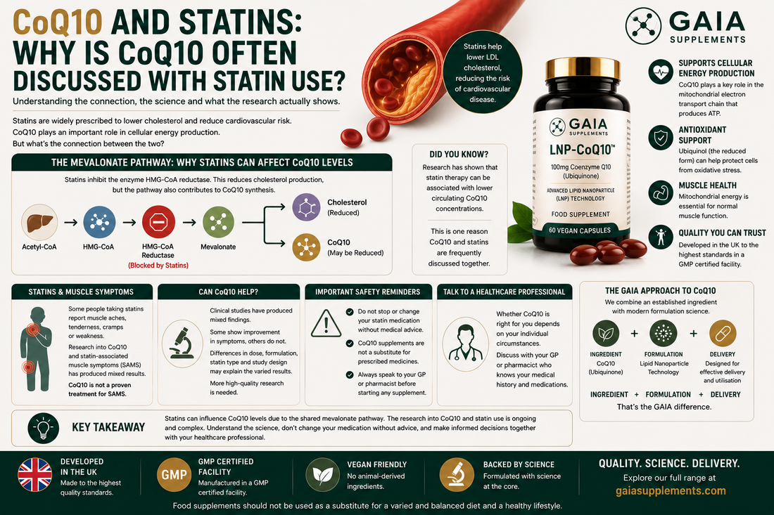 CoQ10 and Statins: Why Is CoQ10 Often Discussed With Statin Use? (UK Guide 2026)