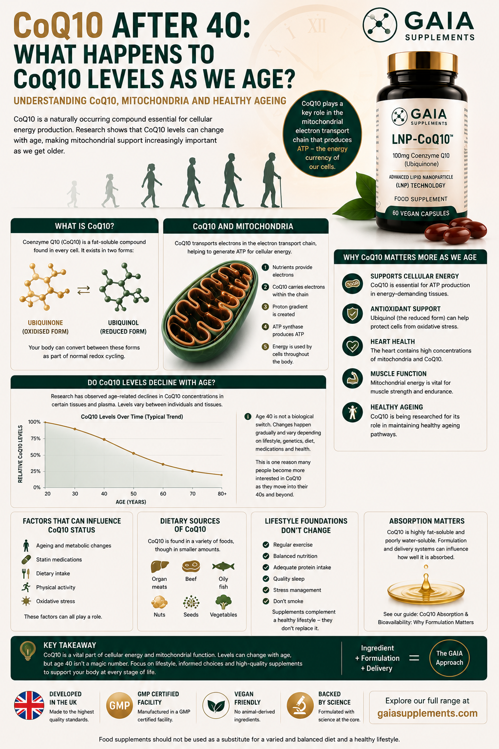 CoQ10 After 40: What Happens to CoQ10 Levels as We Age? (UK Guide 2026)