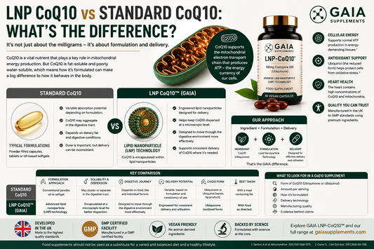 LNP CoQ10 vs Standard CoQ10: What's the Difference? (UK Guide 2026)