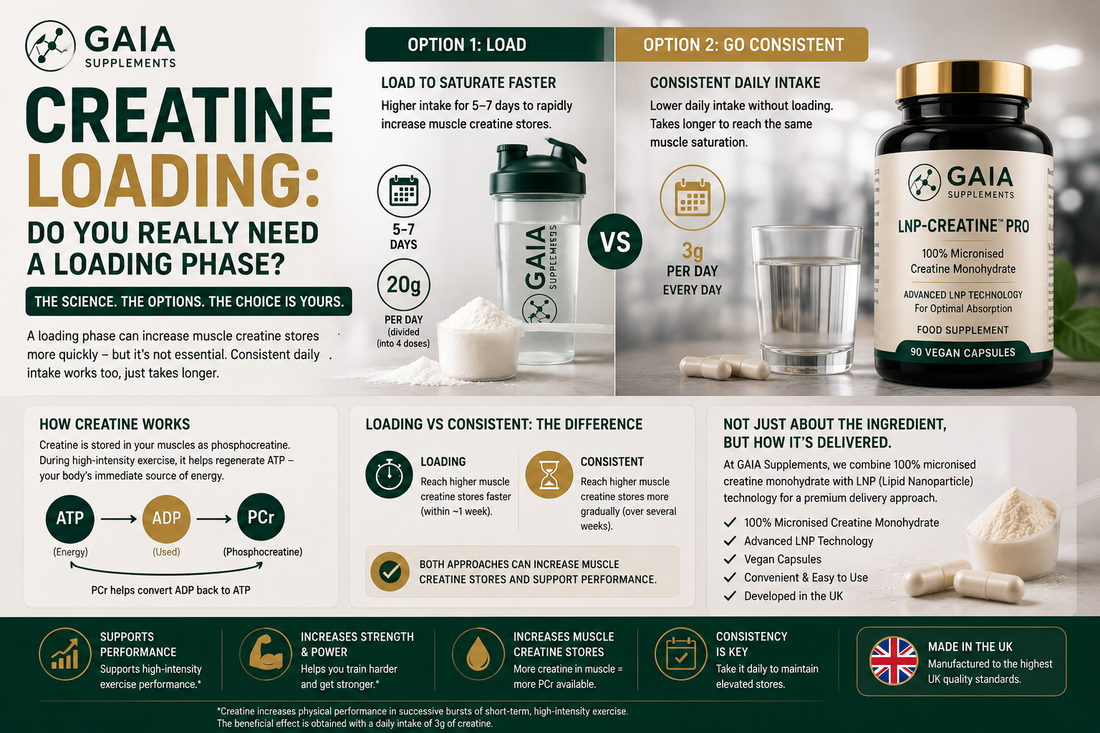 Creatine Loading: Do You Really Need a Loading Phase? (UK Guide 2026)