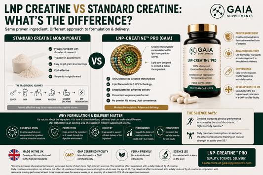 LNP Creatine vs Standard Creatine: What's the Difference? (UK Guide 2026)
