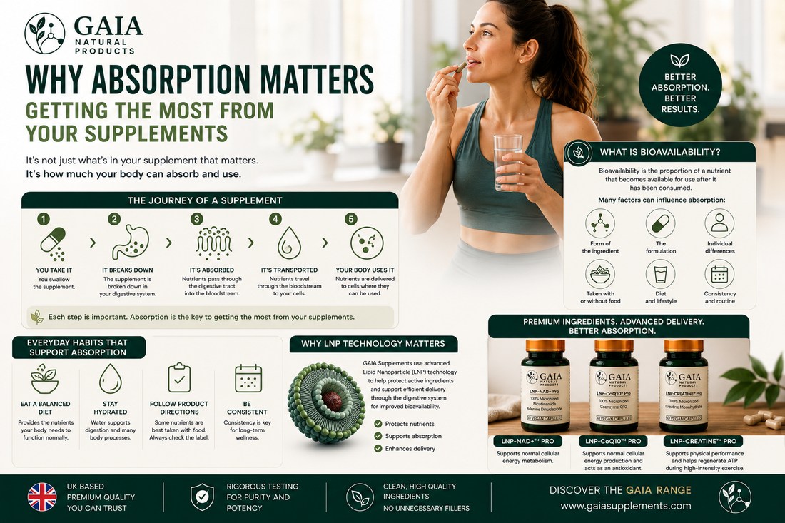 Why Supplement Absorption Matters: How to Get the Most from Your Vitamins and Nutrients (UK Guide 2026)